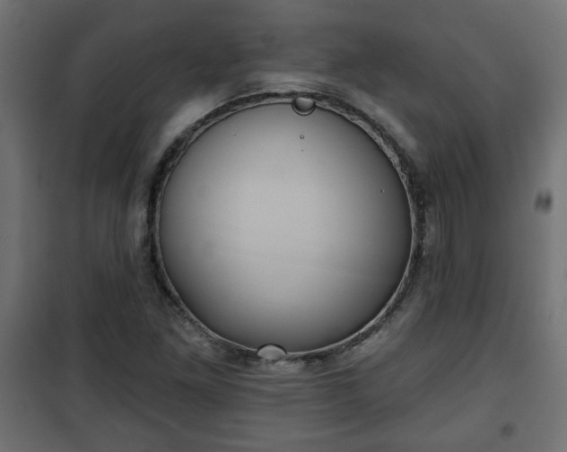 X0000101201261200807071306