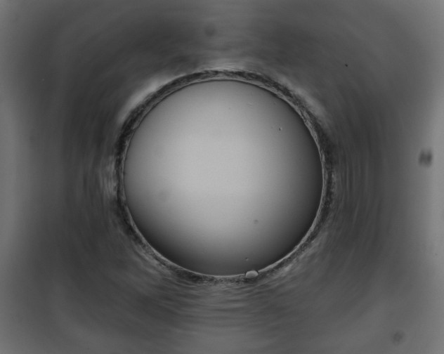 X0000101201262200807071306