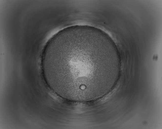X0000101201263200807071306