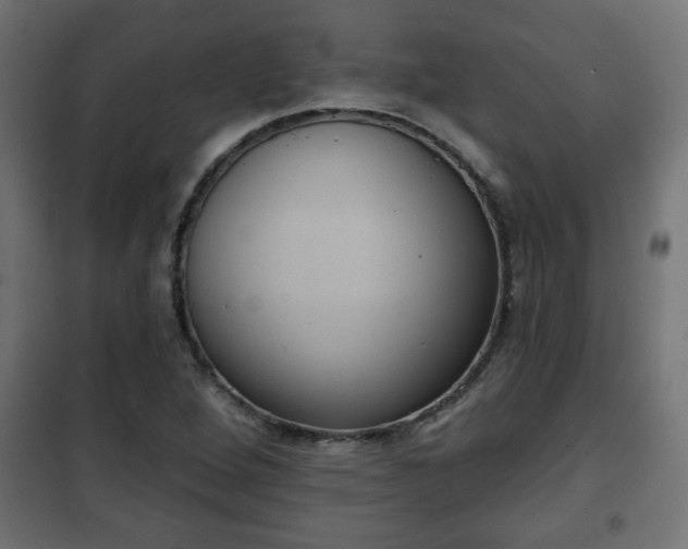 X0000101201264200807071306