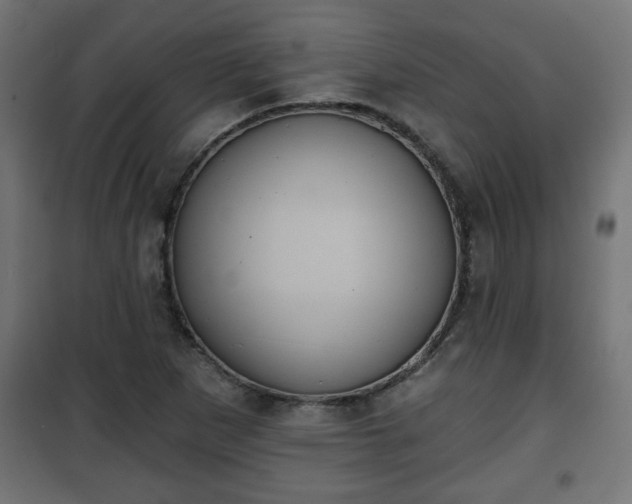 X0000101201265200807071306