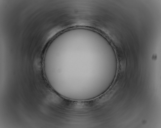 X0000101201266200807071306