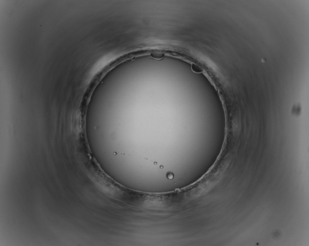 X0000101201267200807071306