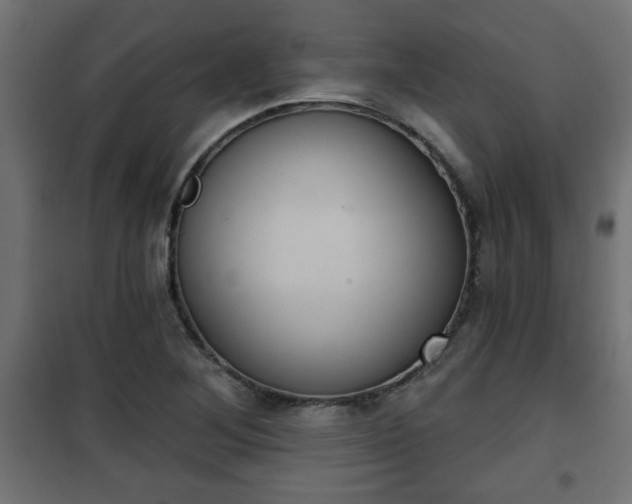 X0000101201268200807071306
