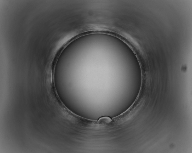 X0000101201269200807071306