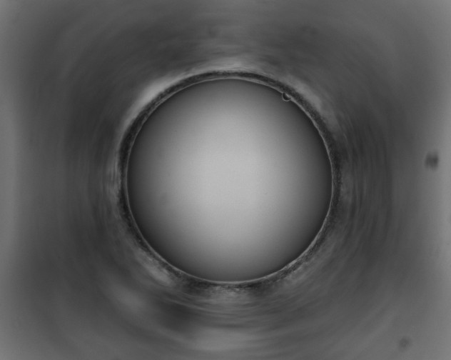 X0000101201270200807071306