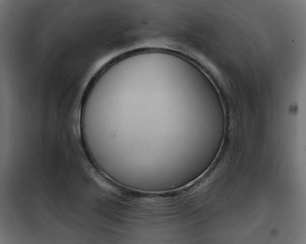 X0000101201272200807071306