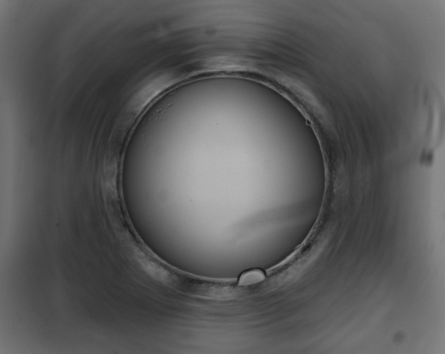 X0000101201273200807071306