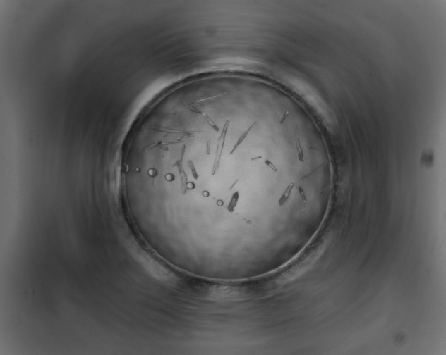 X0000101201275200807071306