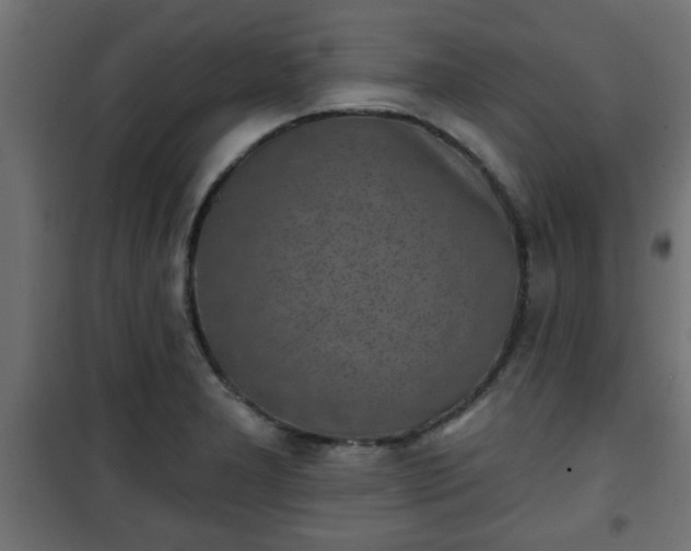 X0000101201277200807071306