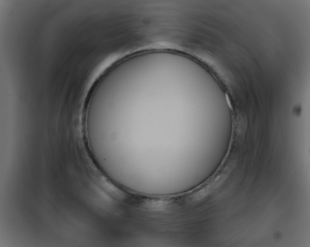 X0000101201278200807071306