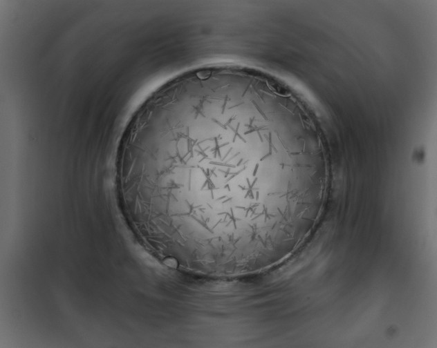 X0000101201279200807071306