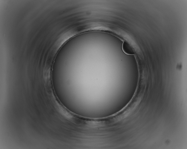 X0000101201281200807071306