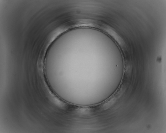 X0000101201282200807071306