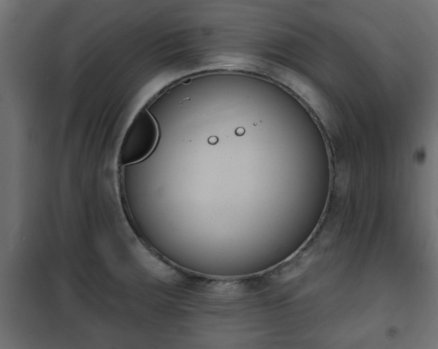 X0000101201283200807071306