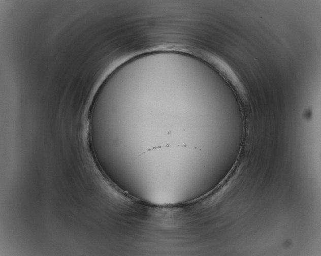 X0000101201284200807071306