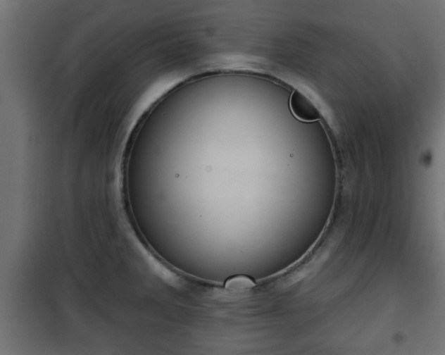 X0000101201285200807071306
