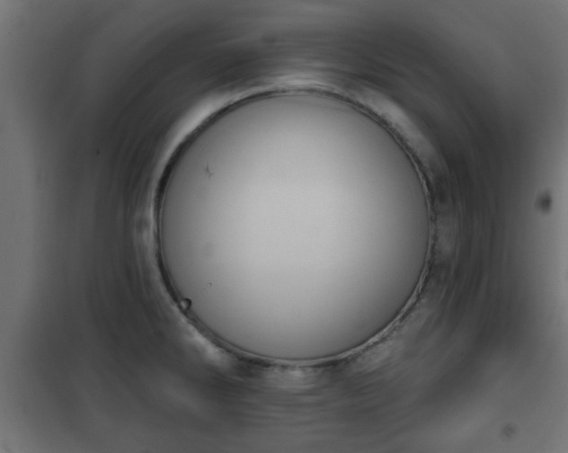 X0000101201286200807071305