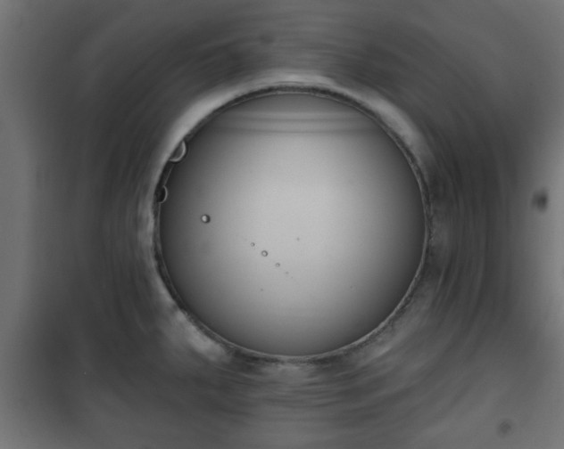 X0000101201287200807071305