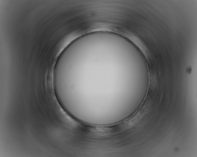 X0000101201290200807071305