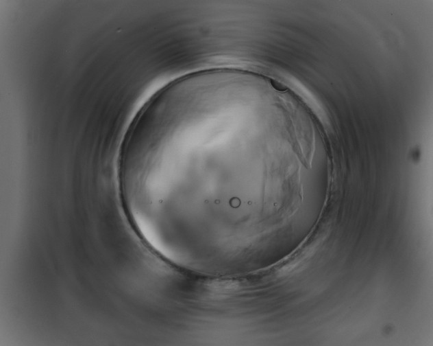 X0000101201291200807071305