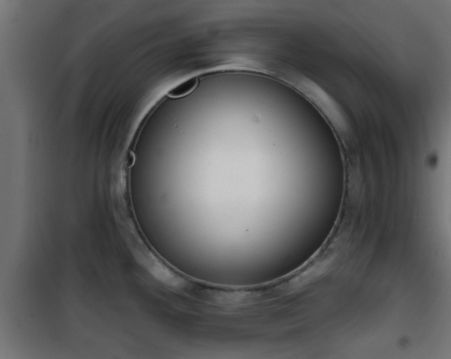 X0000101201292200807071305