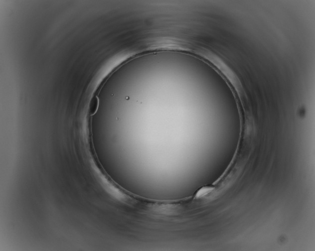 X0000101201293200807071305