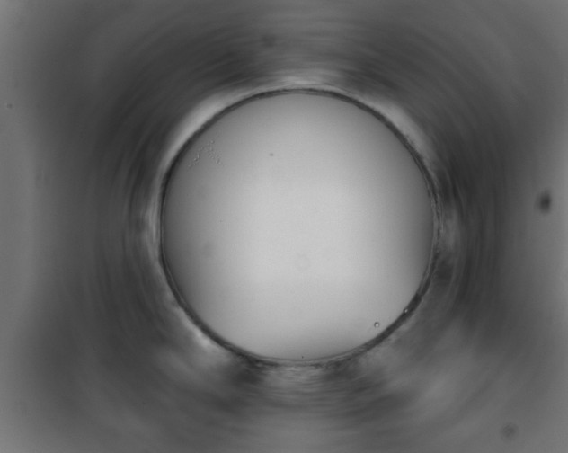 X0000101201294200807071305