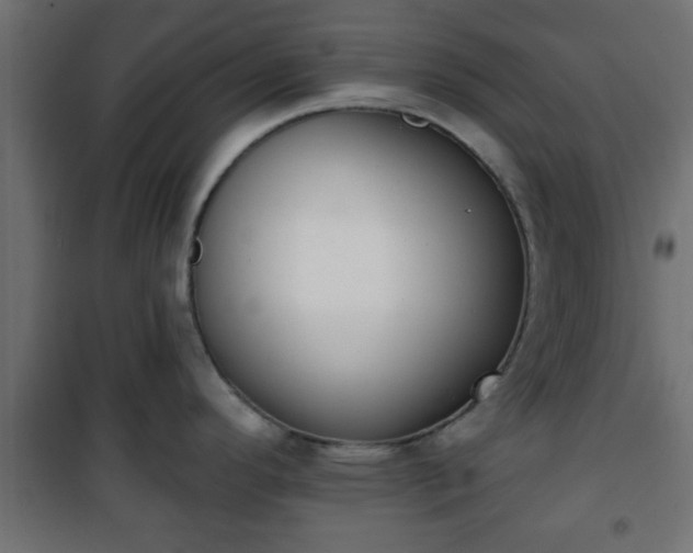 X0000101201296200807071305
