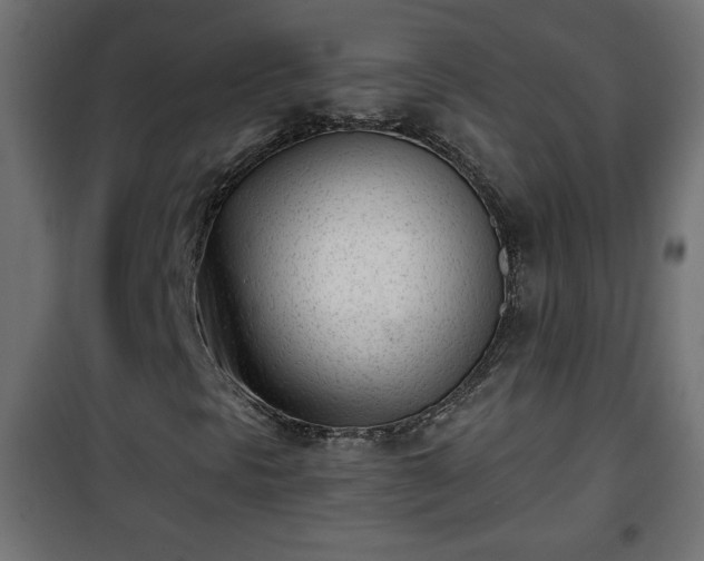 X0000101201297200807071305