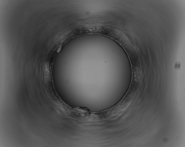 X0000101201298200807071305