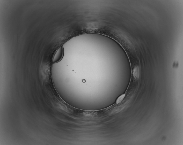 X0000101201299200807071305
