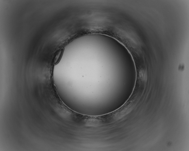 X0000101201300200807071305