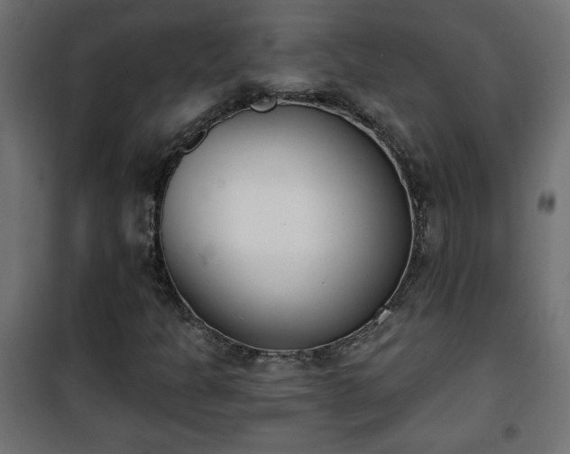 X0000101201301200807071305