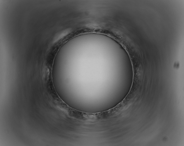 X0000101201302200807071305