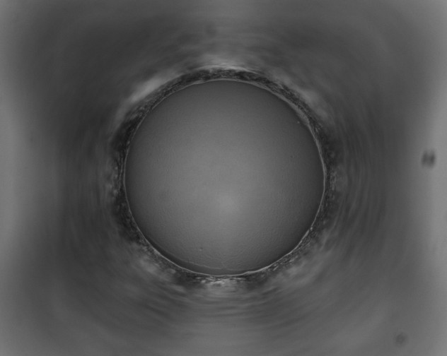 X0000101201303200807071305