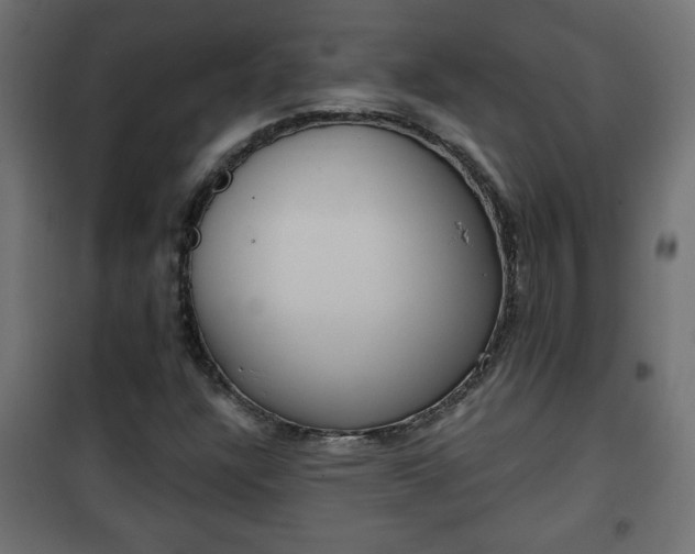 X0000101201304200807071305