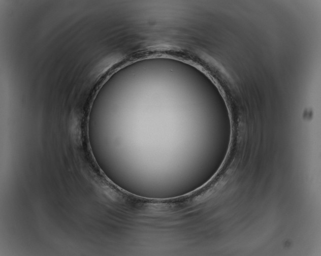 X0000101201305200807071305