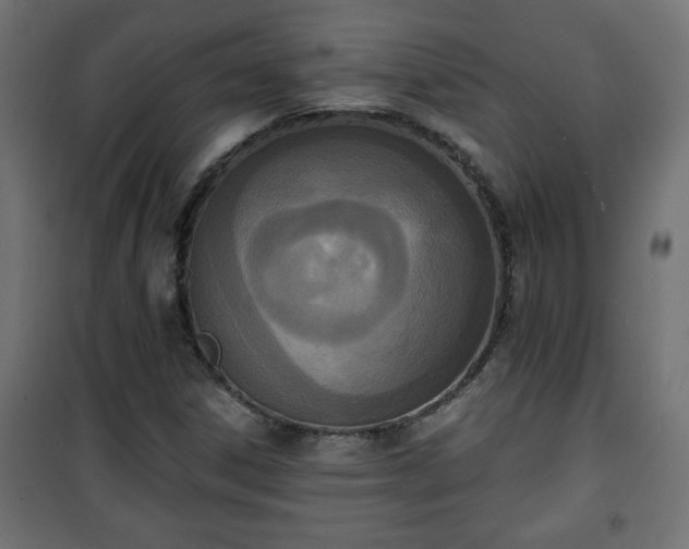 X0000101201306200807071305