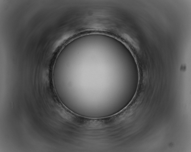X0000101201307200807071305