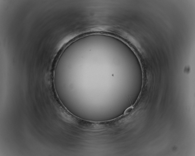 X0000101201308200807071305