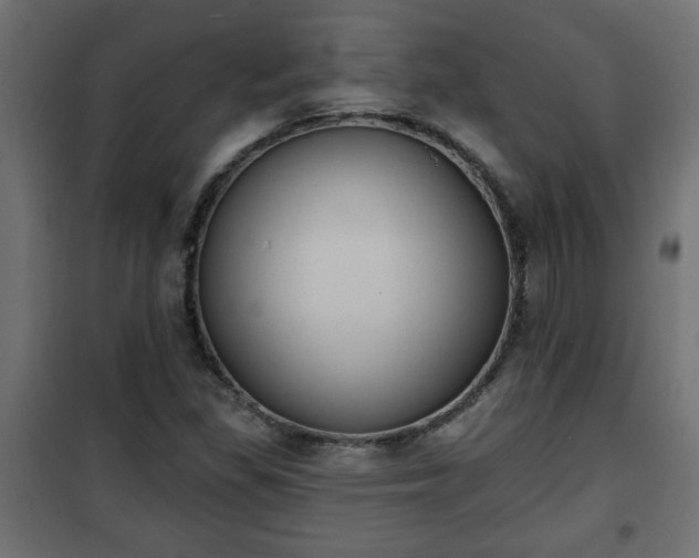 X0000101201309200807071305
