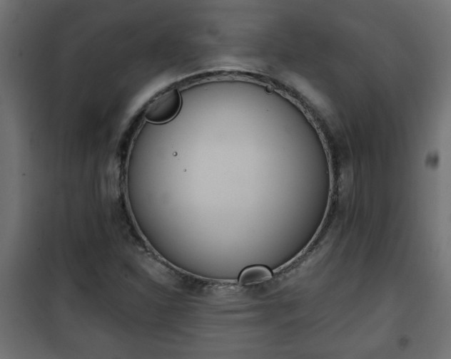 X0000101201310200807071305