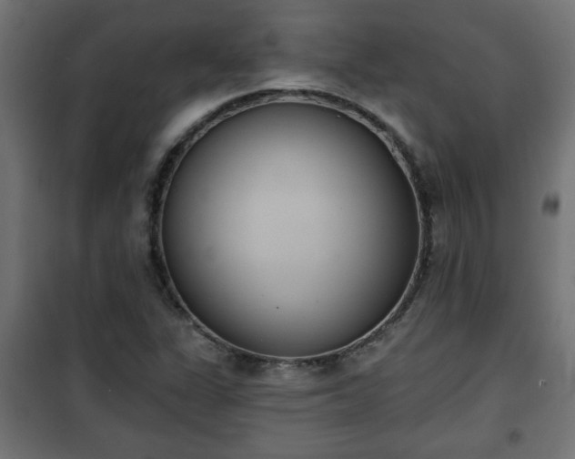 X0000101201311200807071305