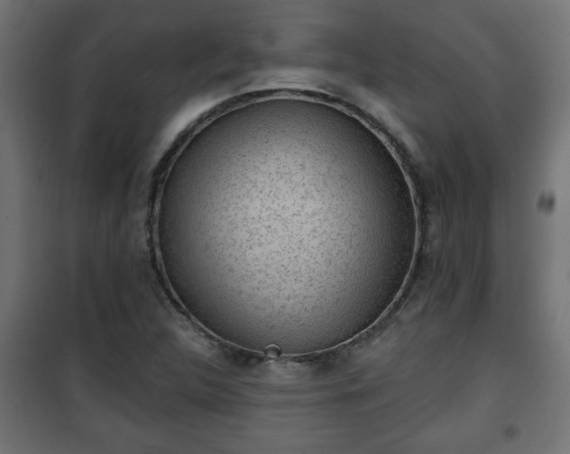 X0000101201312200807071305