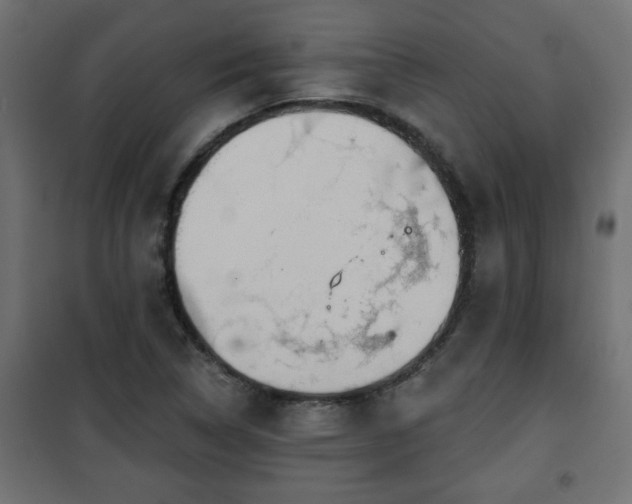 X0000101201314200807071305
