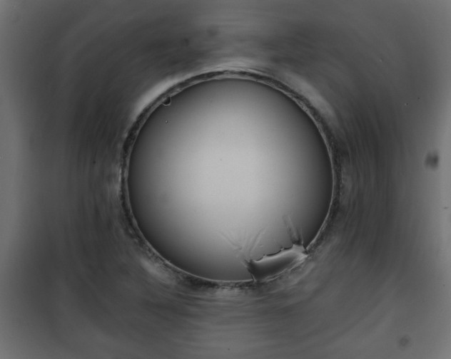 X0000101201316200807071305