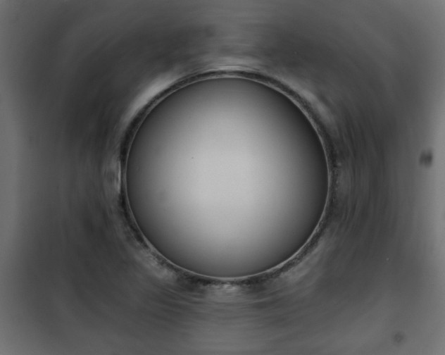 X0000101201317200807071305