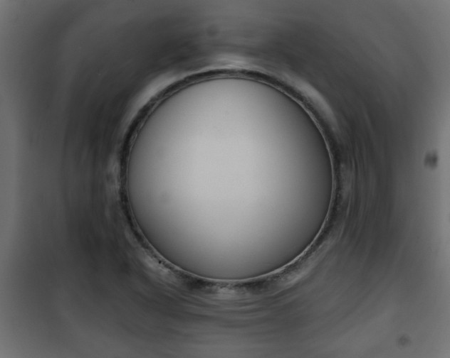 X0000101201318200807071305