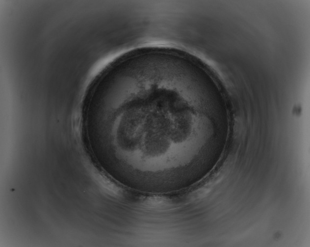 X0000101201319200807071305